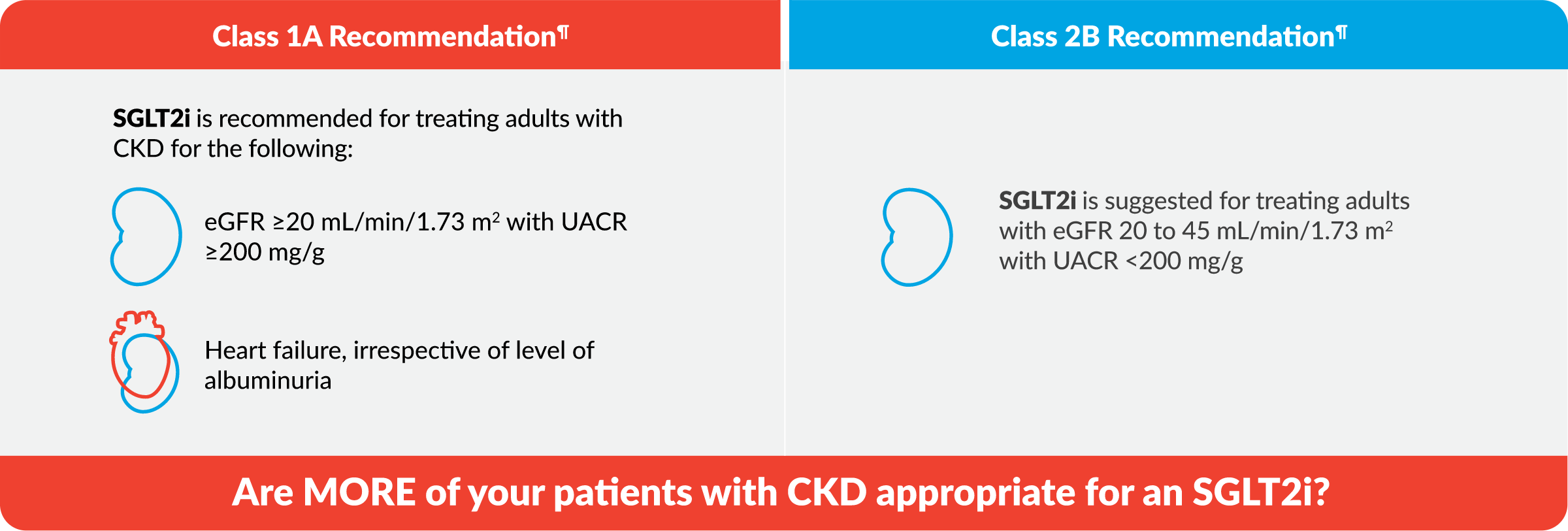 CKD Guidelines for Patients