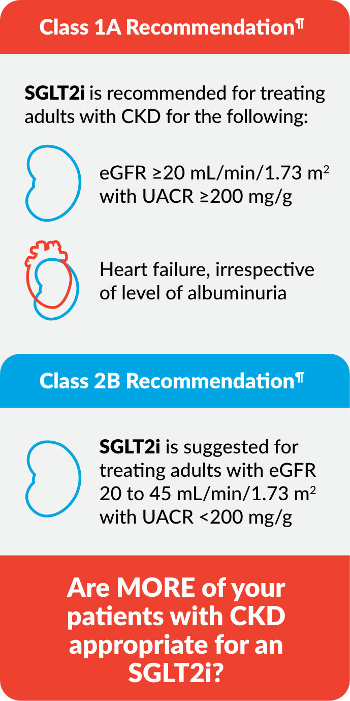 SGLT2is are recommended as first-line therapy in most patients with CKD11 CKD Guidelines for Patients